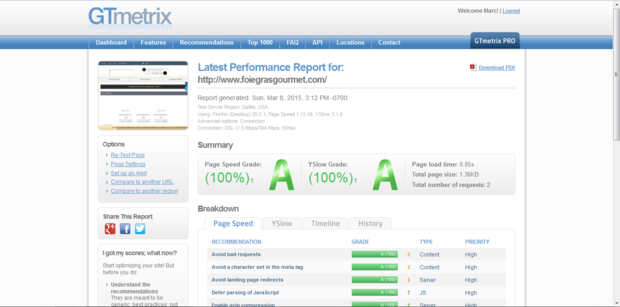 GTmetrix_20150308.PNG